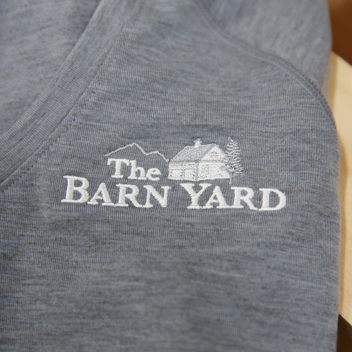 Women's Performance V-Neck